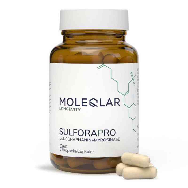 Moleqlar Sulforapro Glucoraphanin+Myrosinase Kapsel (n)  60 stk von MoleQlar GmbH PZN 19790743