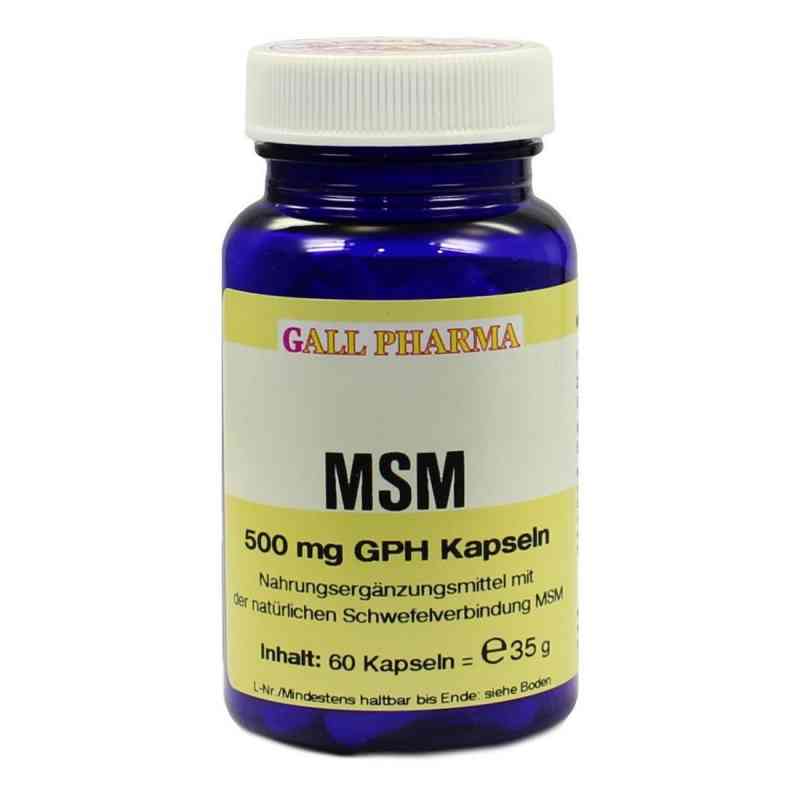 Msm 500 mg Gph Kapseln 60 stk von Hecht-Pharma GmbH PZN 04411668