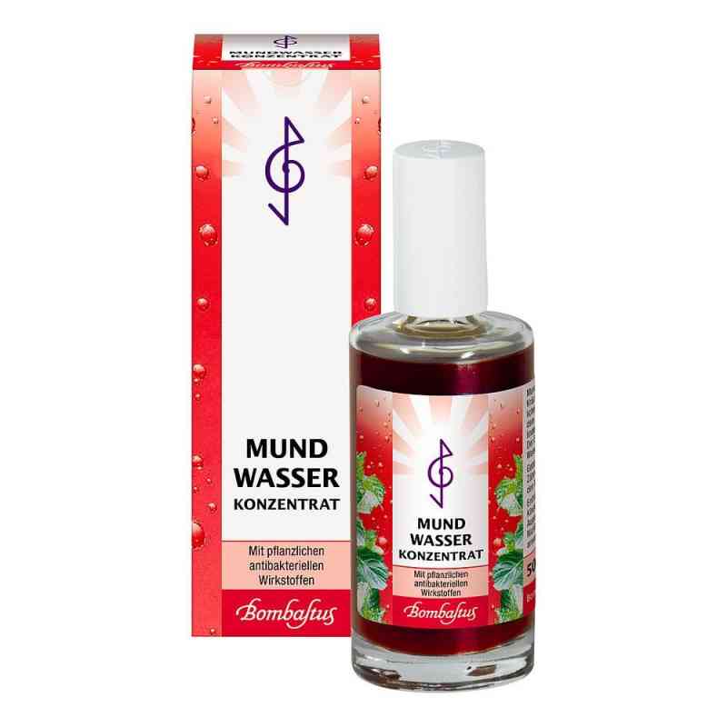 Mundwasser Konzentrat 50 ml von Bombastus-Werke AG PZN 04084436