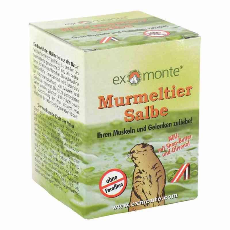 Murmeltiersalbe ohne Paraffine 100 ml von ApoFit Medizin- und Naturprodukte GmbH PZN 02718150