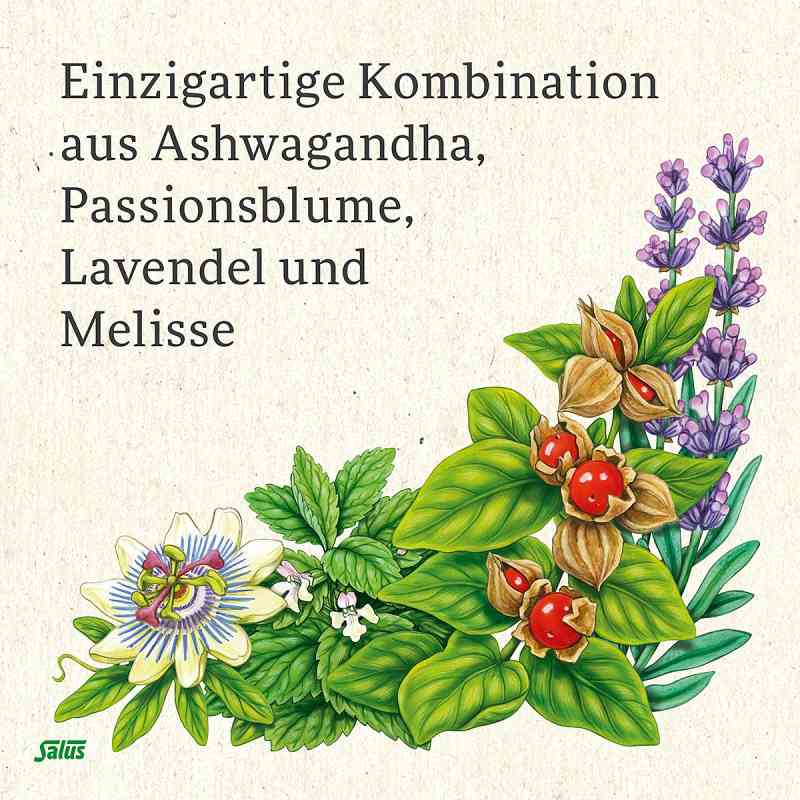 Salus Neuro Balance Ashwagandha Kapseln – Für Nerven & Psyche, Mit B-Vitaminen, Vegan