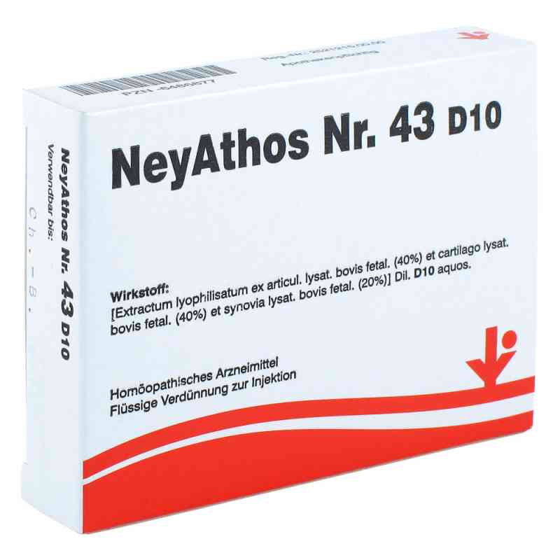 Neyathos Nummer 4 3 D10 Ampullen 5X2 ml von vitOrgan Arzneimittel GmbH PZN 06486877