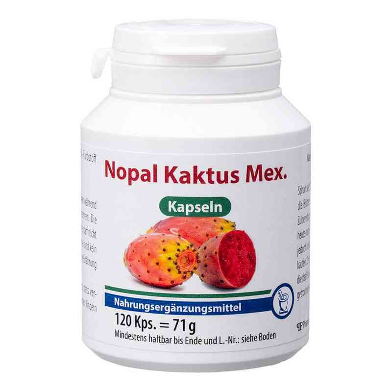 Nopal Kaktus mex.Kapseln 120 stk von Pharma Peter GmbH PZN 03134072