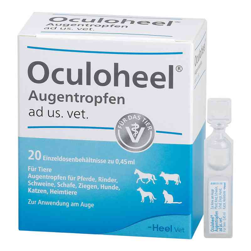 Oculoheel Augentropfen ad us. vet 20 stk von Biologische Heilmittel Heel GmbH PZN 06559470