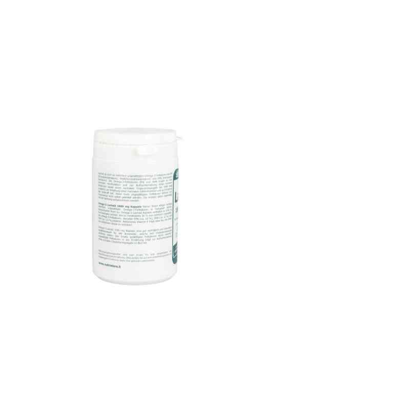 Omega 3 Lachsöl 1000 mg Kapseln 120 stk von Hirundo Products PZN 01159406