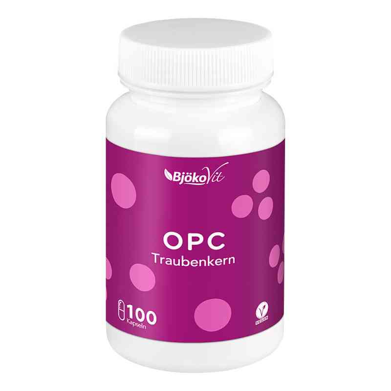 OPC Traubenkern vegan Kapseln 100 stk von Kolbe Nutrition GmbH PZN 12728379