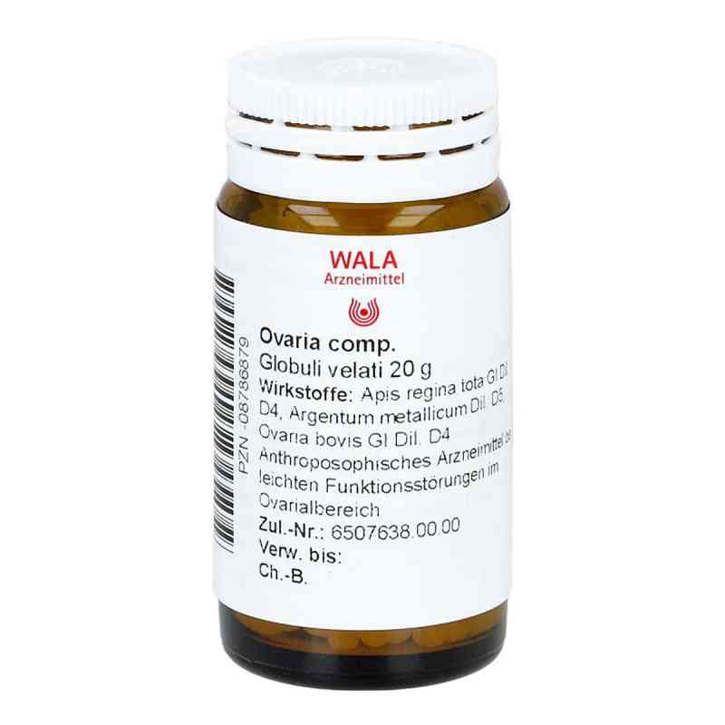 Ovaria Comp. Globuli 20 g von WALA Heilmittel GmbH PZN 08786879