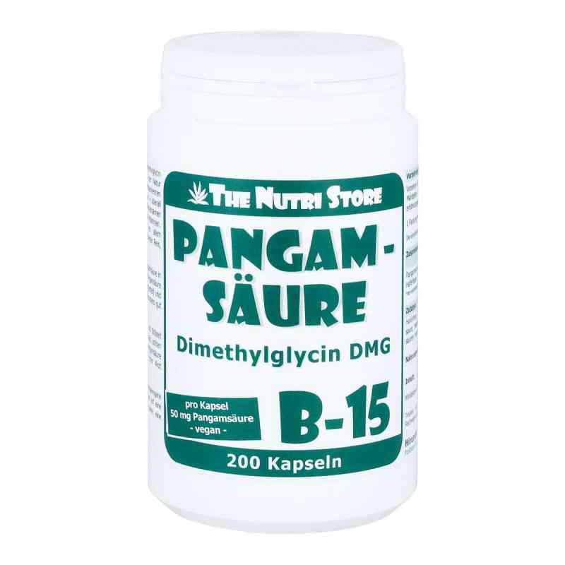 Pangamsäure B15 50 mg vegetarische Kapseln 200 stk von Hirundo Products PZN 05101697