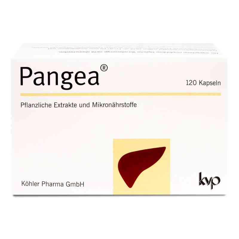 Pangea Kapseln 120 stk von Köhler Pharma GmbH PZN 16007518