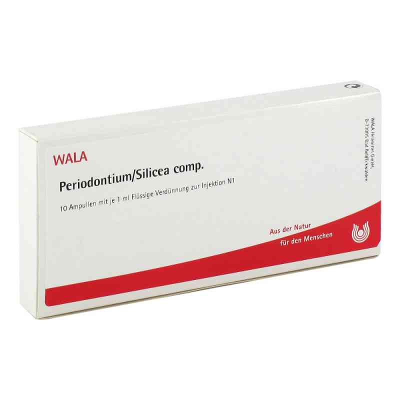 Periodontium/ Silicea Comp. Ampullen 10X1 ml von WALA Heilmittel GmbH PZN 02086394