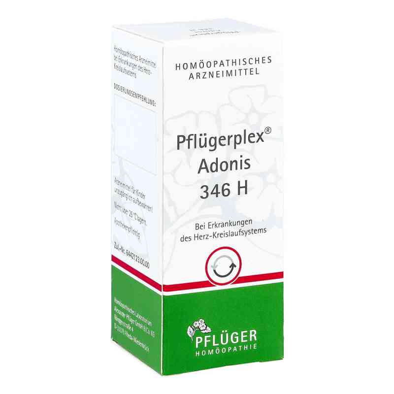 Pflügerplex Adonis 346 H Tabletten 100 stk von Homöopathisches Laboratorium Ale PZN 01059366