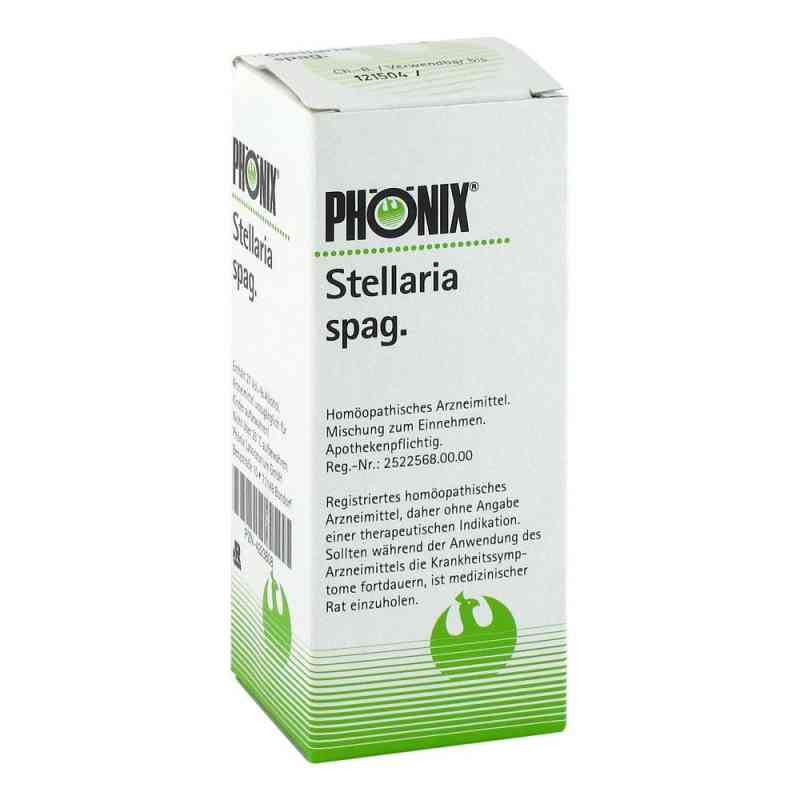 Phönix Stellaria spag. Tropfen 100 ml von PHöNIX LABORATORIUM GmbH PZN 04223808