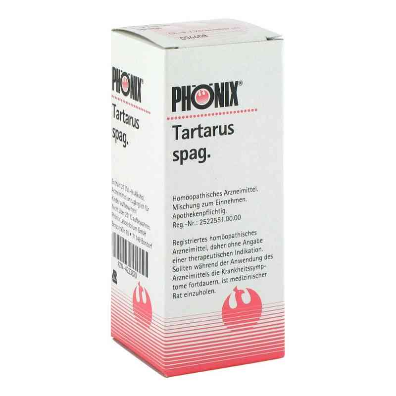 dauerblher topfpflanzen Staudenbeet Dauerblher (16er Set) kaufen