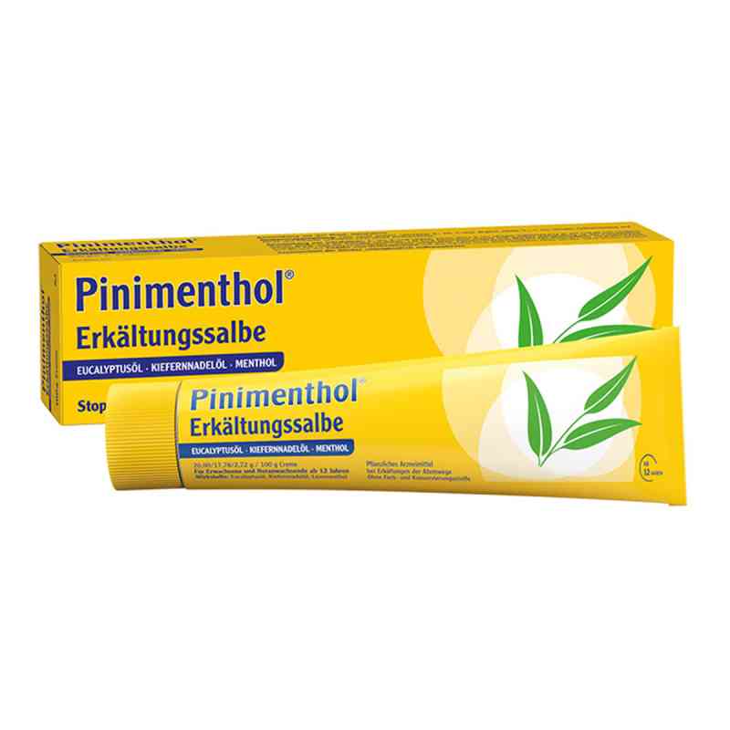 Pinimenthol Erkältungssalbe 100 g von Dr.Willmar Schwabe GmbH & Co.KG PZN 03745309