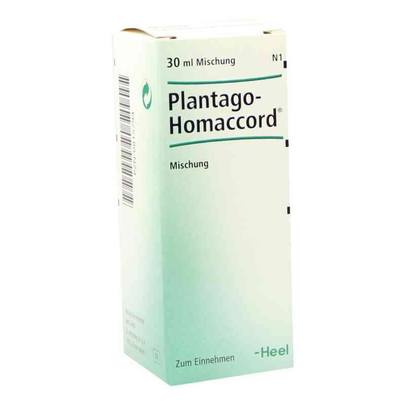 Plantago Homaccord Tropfen 30 ml von Biologische Heilmittel Heel GmbH PZN 00815794