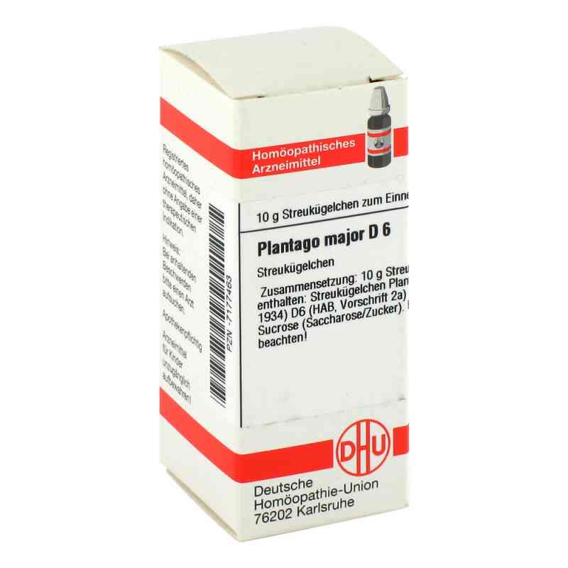 Plantago Major D6 Globuli 10 g von DHU-Arzneimittel GmbH & Co. KG PZN 07177463