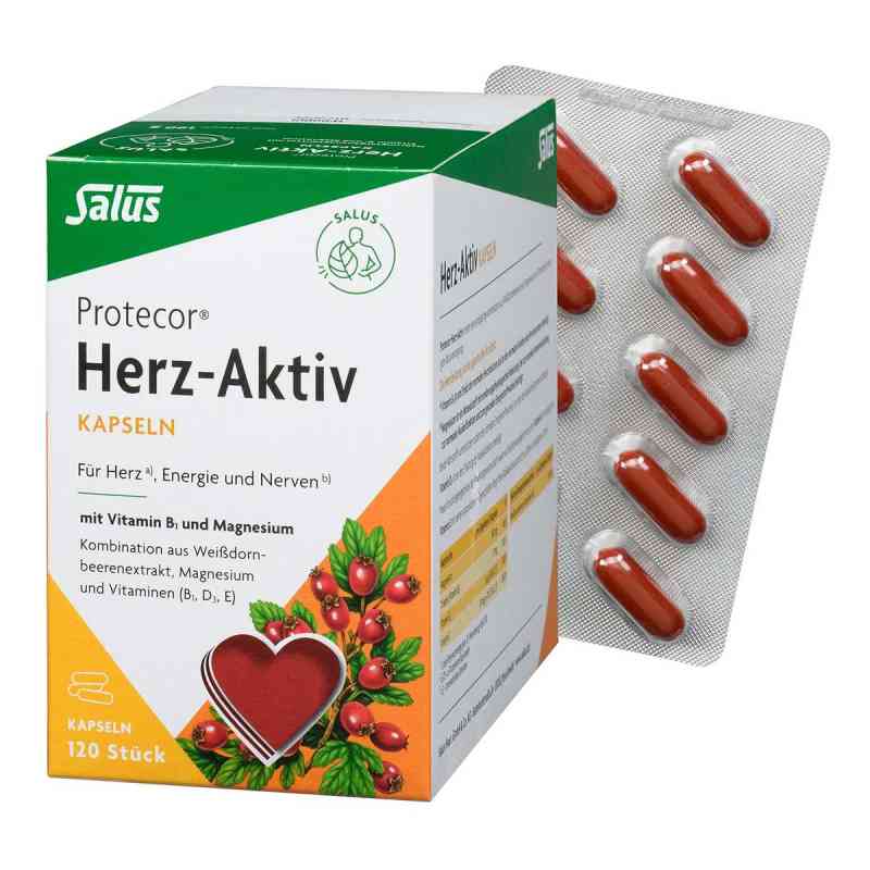 Protecor Herz-aktiv Kapseln 120 stk von SALUS Pharma GmbH PZN 01249109