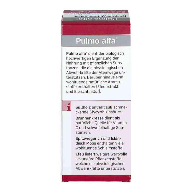 Pulmo Alfa F r Hunde Und Katzen 100 Ml G nstig Bei Apo