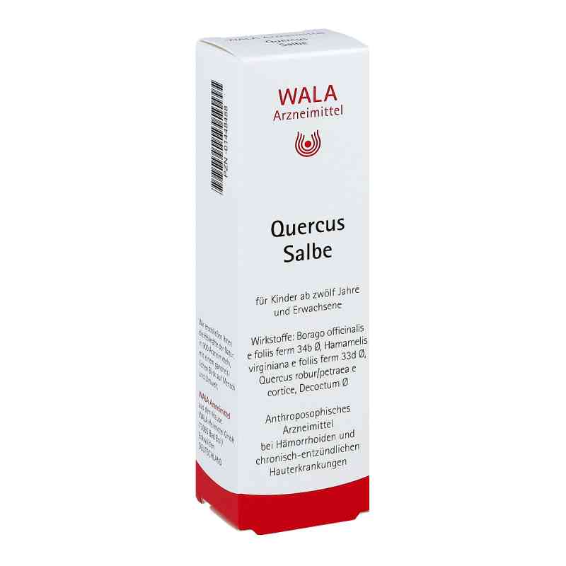 Quercus Salbe 30 g von WALA Heilmittel GmbH PZN 01448458