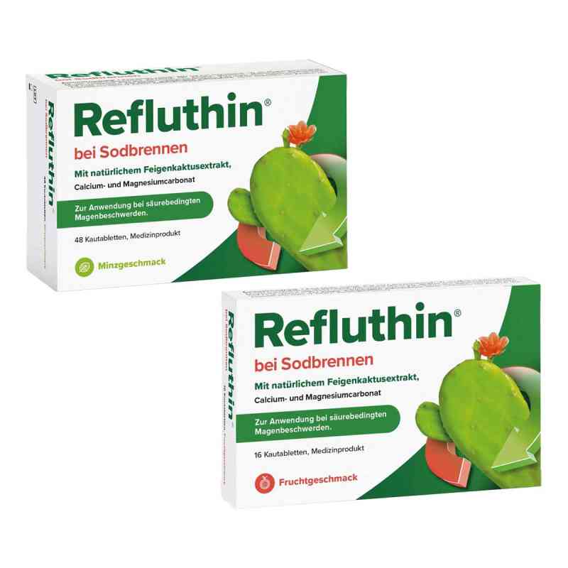 Refluthin Minze und Refluthin Frucht 48+16 stk von Dr.Willmar Schwabe GmbH & Co.KG PZN 08105310