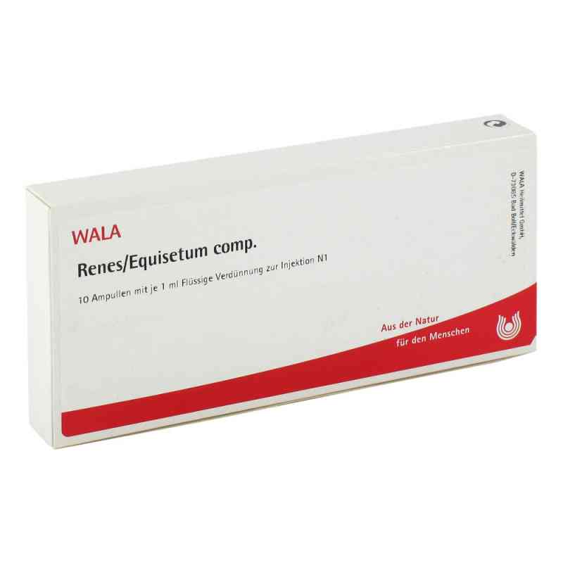 Renes/ Equisetum Comp. Ampullen 10X1 ml von WALA Heilmittel GmbH PZN 02086661