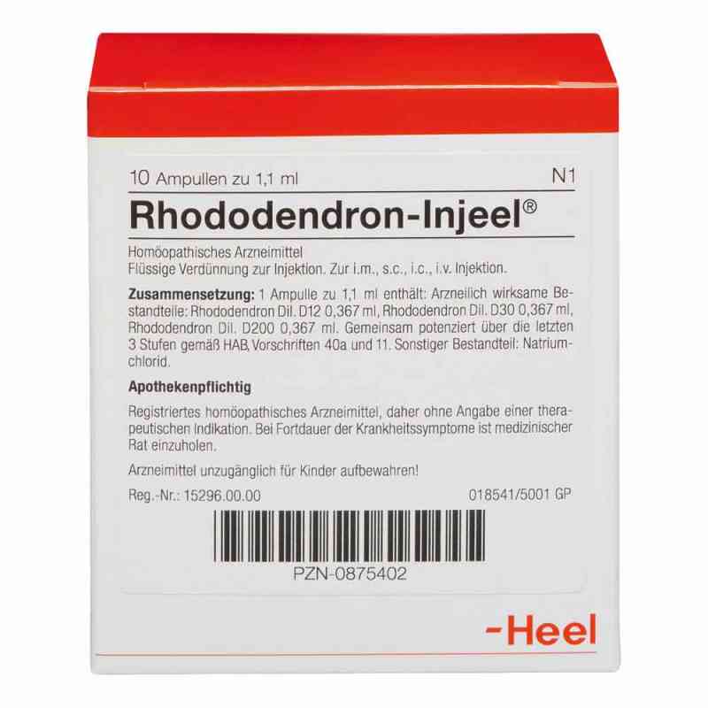 Rhododendron Injeel Ampullen 10 stk online kaufen