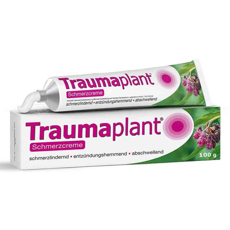 Traumaplant Schmerzcreme 100 g von MCM KLOSTERFRAU Vertr. GmbH PZN 12421155