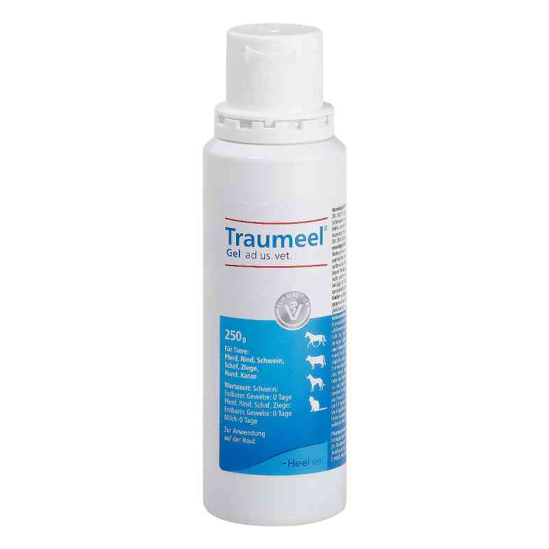 Traumeel Gel ad us. vet. 1X250 g von Biologische Heilmittel Heel GmbH PZN 11013454