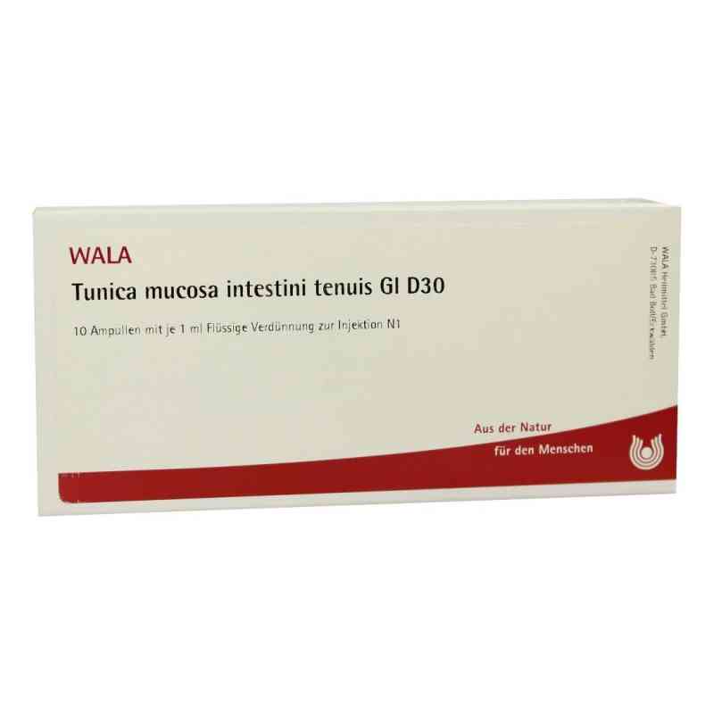 Tunica mucosa intestini tenuis Gl D30  Ampullen 10X1 ml von WALA Heilmittel GmbH PZN 03787667