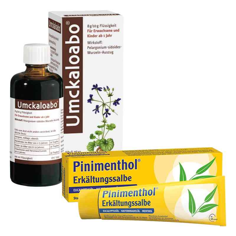 Umckaloabo + Pinimenthol Erkältungssalbe 1 stk von Dr.Willmar Schwabe GmbH & Co.KG PZN 08100273
