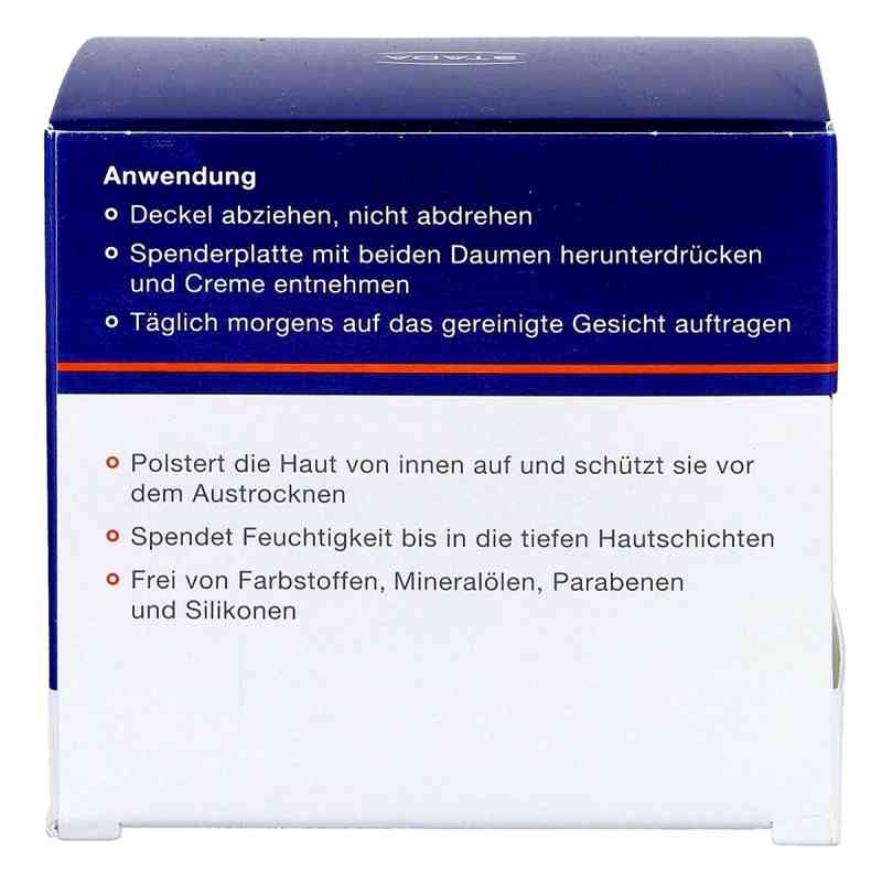 Seidige Tagescreme – 50 Ml Detox-Pflege Mit Sofortiger Absorption, Für Müde Haut