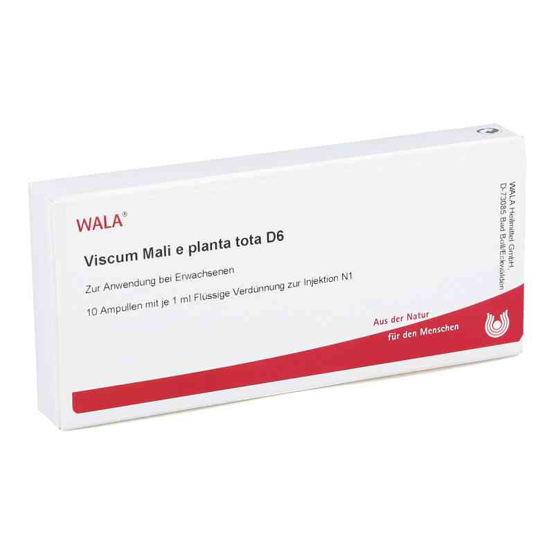 Viscum Mali e planta tota D6 Ampullen 10X1 ml von WALA Heilmittel GmbH PZN 02832733