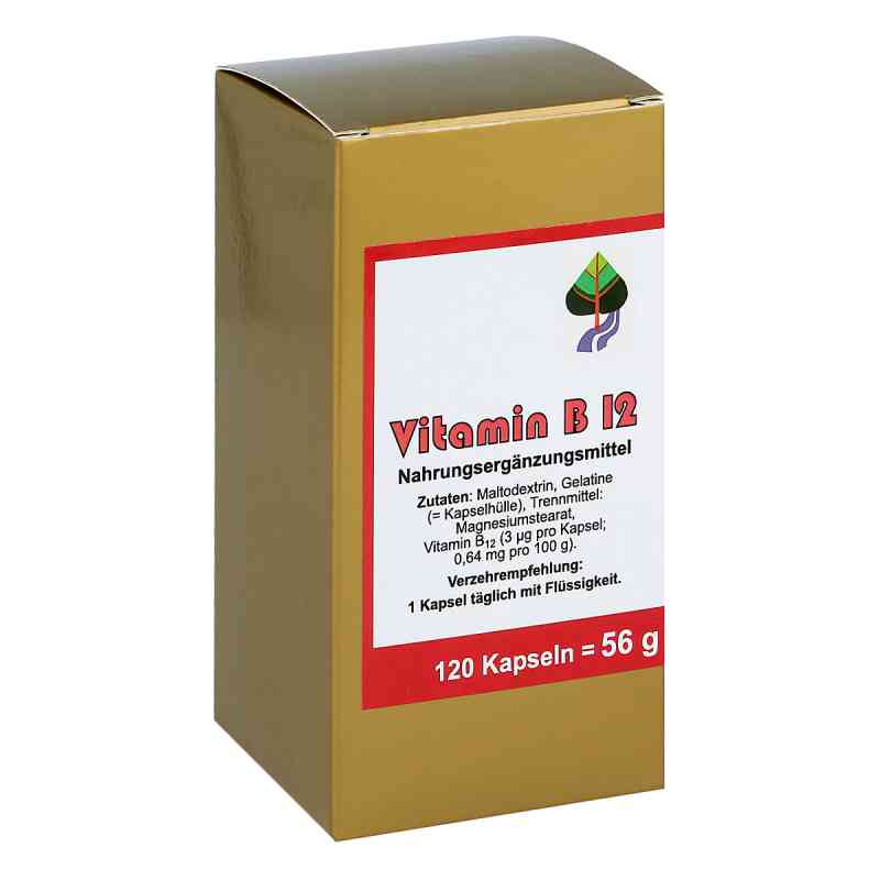 Vitamin B12 Kapseln 120 stk von FBK-Pharma GmbH PZN 00876838