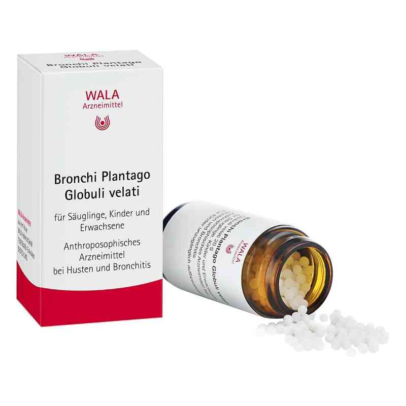 WALA Bronchi Plantago Globuli velati 20 g von WALA Heilmittel GmbH PZN 00085350