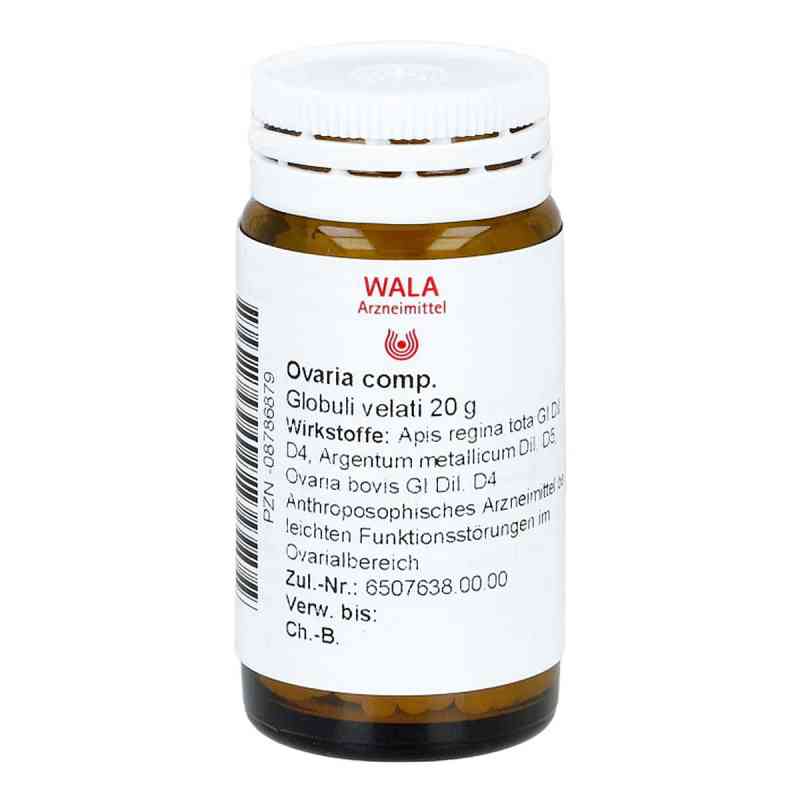 Wala® Ovaria Comp. Globuli 20 g von WALA Heilmittel GmbH PZN 08786879