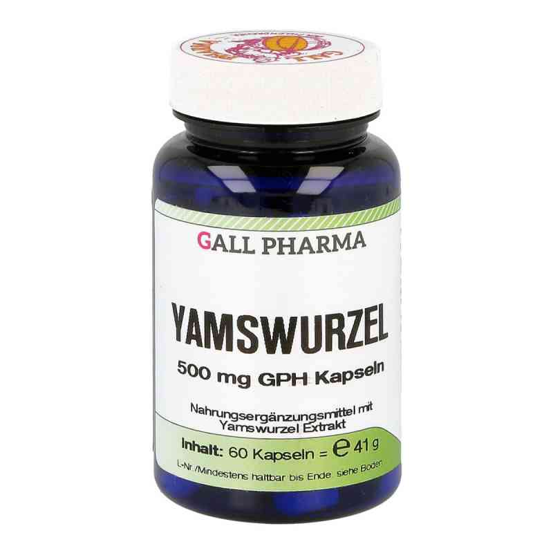 Yamswurzel 500 mg Gph Kapseln 60 stk von Hecht-Pharma GmbH PZN 03378294