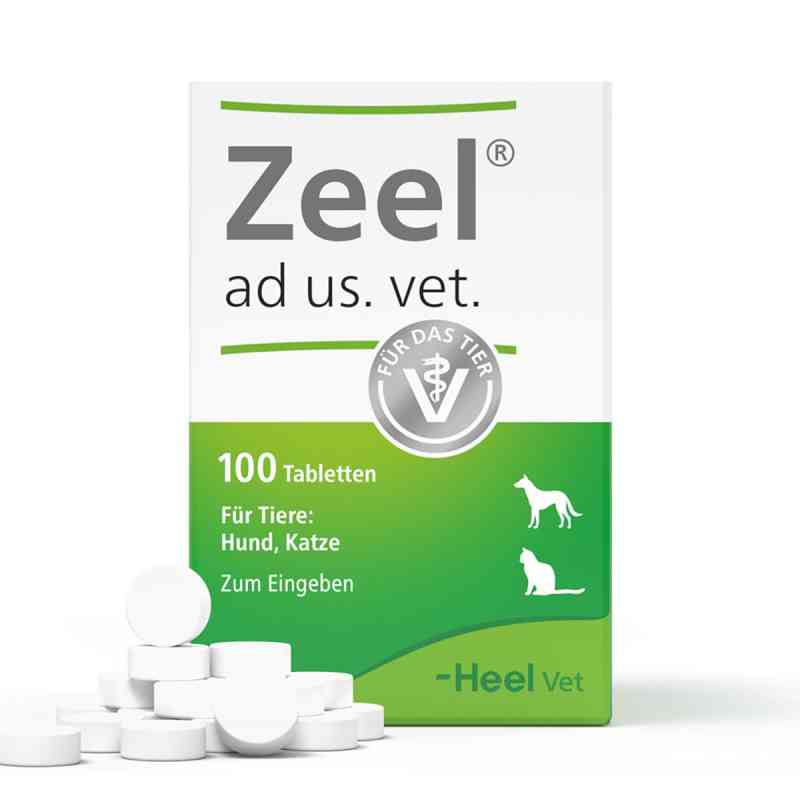 Zeel Tabletten für Hunde /Katzen 100 stk von Biologische Heilmittel Heel GmbH PZN 04133318
