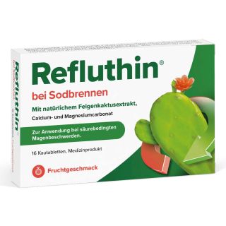 Refluthin Bei Sodbrennen Kautabletten Frucht 16 stk von Dr.Willmar Schwabe GmbH & Co.KG PZN 16011247