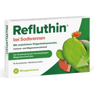 Refluthin Bei Sodbrennen Kautabletten Minze 16 stk von Dr.Willmar Schwabe GmbH & Co.KG PZN 16011313