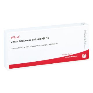 Vespa Crabro Ex Animale Gl D6 Ampullen 10X1 ml von WALA Heilmittel GmbH PZN 03794963