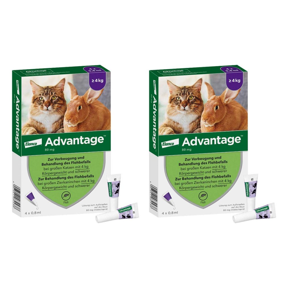 Advantage 80 mg fÃ¼r gr.Katzen und gr.Zierkaninchen