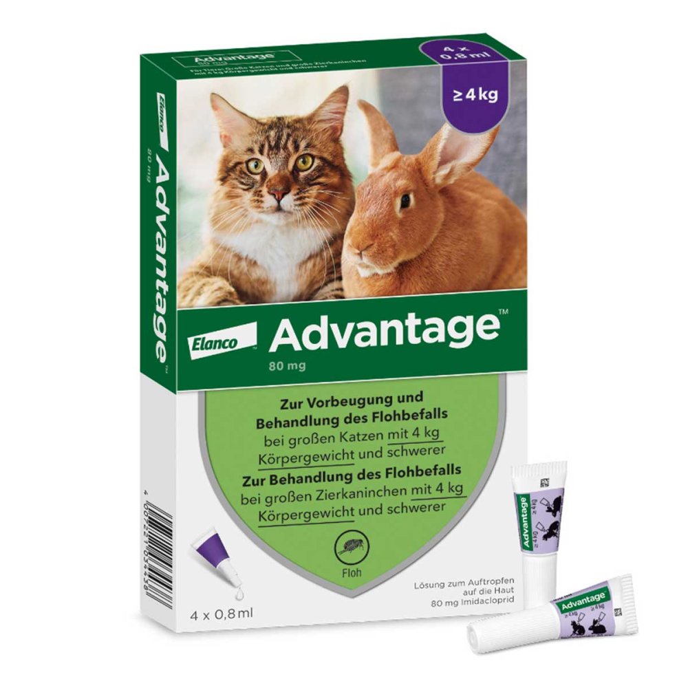 Advantage Spot-On fÃ¼r Katzen und Zierkaninchen von 4 - 8 kg