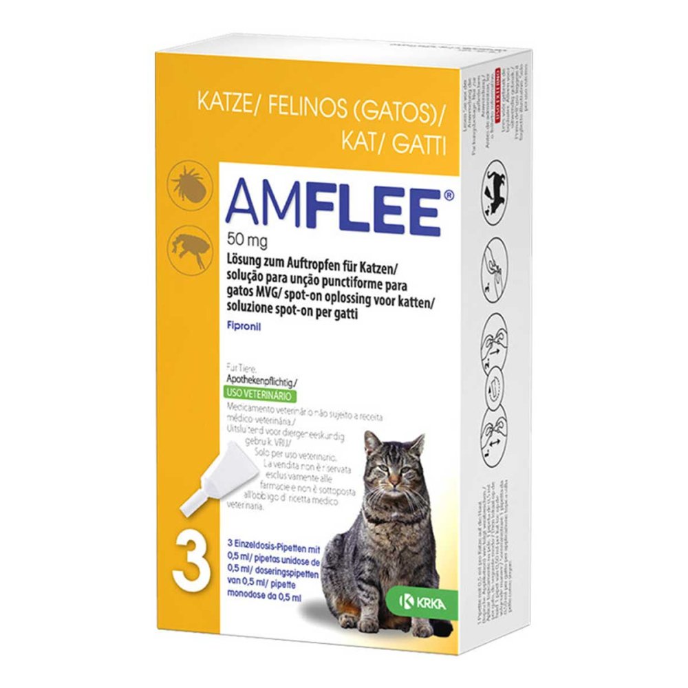 Amflee 50 mg Lösung zum Auftropfen für Katzen