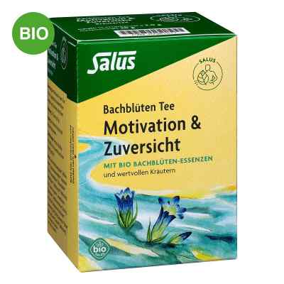 Salus Bachblüten Tee Motivation & Zuversicht