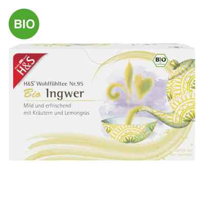 H&S Bio Ingwer Filterbeutel