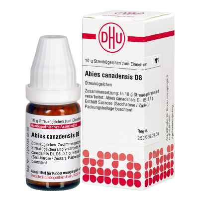 Abies Canadensis D 8 Globuli 10 g von DHU-Arzneimittel GmbH & Co. KG PZN 04200032