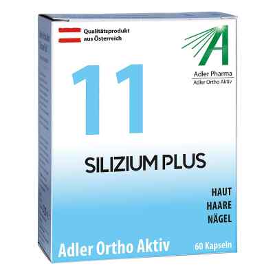 Adler Ortho Aktiv Kapseln Nummer 11