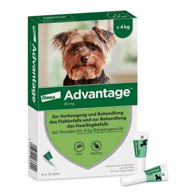 Advantage Spot-On für Hunde bis 4 kg 4 stk von Elanco Deutschland GmbH PZN 08613305