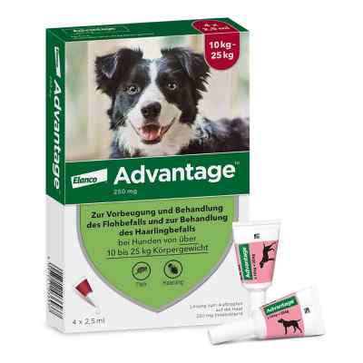 Advantage Spot-On für Hunde von 10 bis 25 kg Körpergewicht