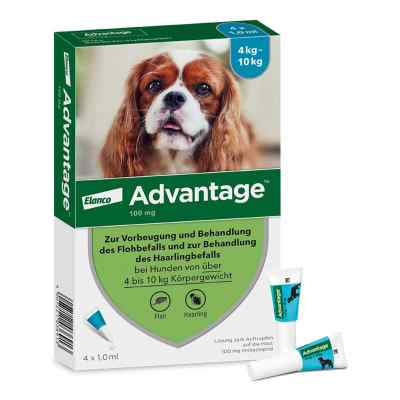 Advantage Spot-On für Hunde von 4 bis 10 kg Körpergewicht
